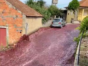 Massive Wine Spill Floods Streets of Sao Lourenco do Bairro, Portugal
